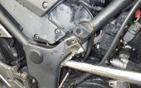 KAWASAKI Z250 ER250C