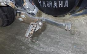 YAMAHA TW225 2005 DG09J