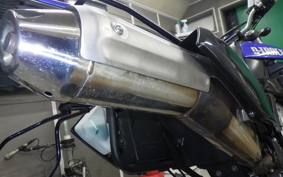 KAWASAKI KLX250D TRACKER X 2025 LX250V