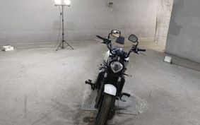KAWASAKI BALKANS EN650A