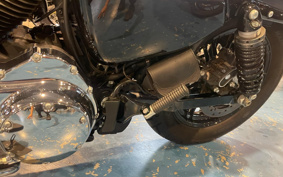 HARLEY XL1200XS 2019 LR3