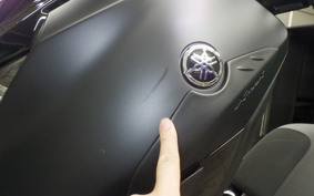 YAMAHA X-MAX 250 2016 SGA8J