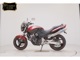 Фото Honda HORNET 250 2006 с японского аукциона