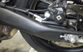 TRIUMPH SPEED400 2024