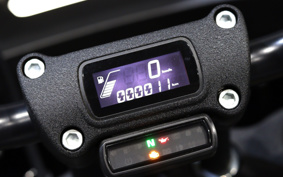 HARLEY FXLRST 2025 YXZ