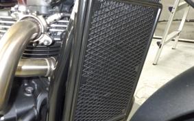 TRIUMPH SCRAMBLER 900 2025