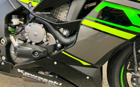 KAWASAKI NINJA ZX-6R 2020 ZX636G