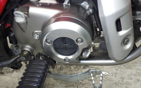 HONDA CT125 HUNTER CUB 2025 JA55
