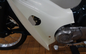 HONDA SUPER CUB50 C50