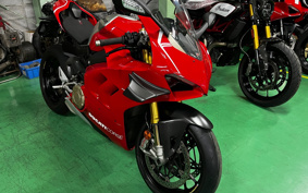 DUCATI PANIGA-REV4R 2019 DA04