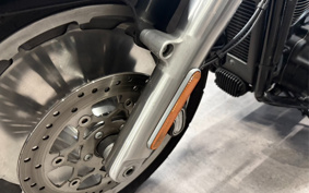 HARLEY FLFBS 2021 YGK