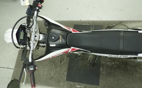 YAMAHA WR250R DG15J