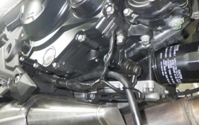 KAWASAKI Z650 RS 2024 ER650R