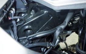BMW R1300RT ASA 2025