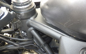 KAWASAKI ZX-4R SE 2025 ZX400P