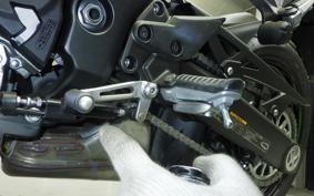 KAWASAKI NINJA 1000 SX 2024 ZXT02K