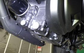 HONDA REBEL 1100 DCT 2025 SC83