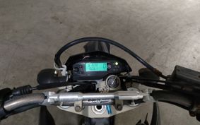 YAMAHA WR250X DG15J