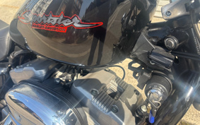 HARLEY XL883 2005 CAM