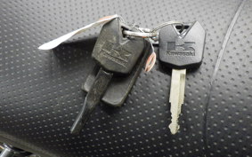 KAWASAKI ZRX1200 D 2017 ZRT20D