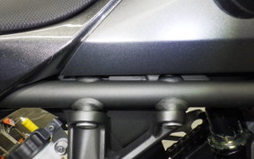 KAWASAKI NINJA 250 2024 EX250Y