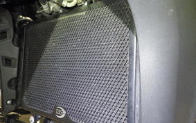 SUZUKI Vｽﾄﾛｰﾑ650XTA 2017 C733A