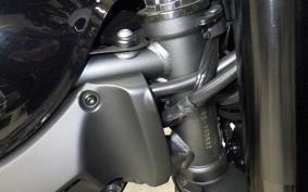 KAWASAKI Z900RS CAFE 2025