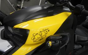 OTHER CAN-AMﾗｲｶｰ900 RALLYED 2019