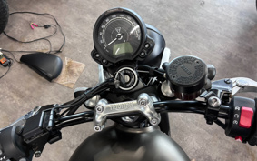TRIUMPH STREET TWIN 2023 DAD74G