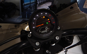 HARLEY  HARLEY FXLRS 2024 YWZ