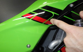 KAWASAKI ZX 10 NINJA ABS 2024 ZXT02L