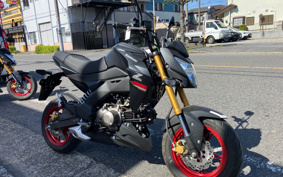 KAWASAKI Z125 PRO BR125H