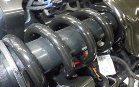 HARLEY FXBB1920 2025