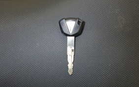 KAWASAKI NINJA 250 2006 EX250P