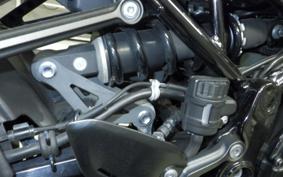 KAWASAKI Z900RS 2019 ZR900C