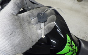 KAWASAKI NINJA 250 2023 EX250L