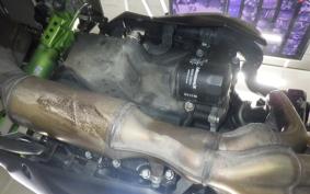 KAWASAKI Z900 Gen.2 2021 ZR900B