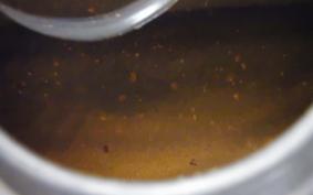 SUZUKI GSX250S KATANA GJ76A