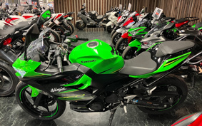 KAWASAKI NINJA 250 KRT ED EX250P
