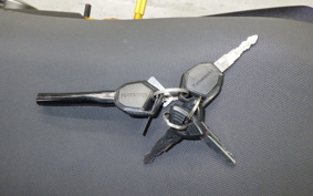 KAWASAKI Z125 PRO 2005 BR125H