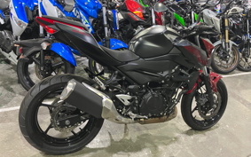 KAWASAKI Z250ABS EX250P