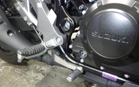 SUZUKI Vｽﾄﾛｰﾑ250A 2022