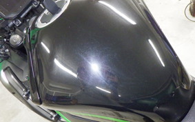 KAWASAKI ZH2 2020 ZRT00K