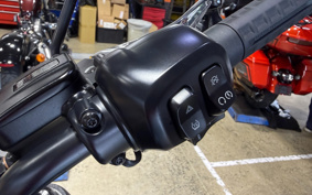 HARLEY FXLRS 2025 YWA