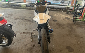 KAWASAKI NINJA 250 EX250L