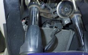 YAMAHA YZF-R25 A RG10J