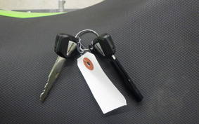 KAWASAKI NINJA 250 2009 EX250P