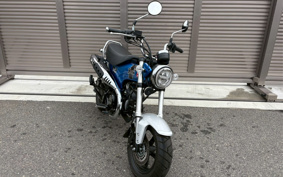 HONDA  DUX 125 JB06