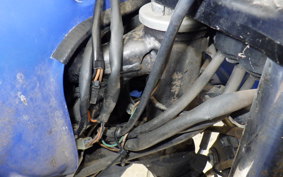 YAMAHA TDR250 2YK