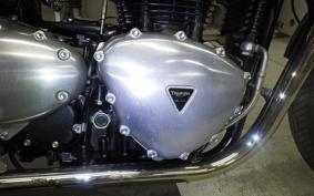 TRIUMPH THRUXTON 900